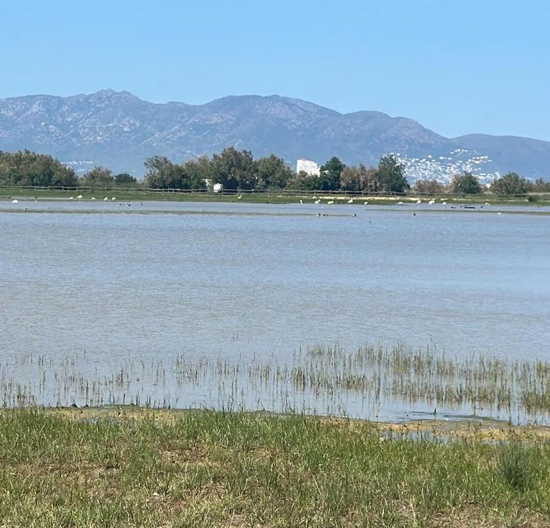 Requesens Playa Διαμέρισμα Empuriabrava